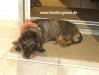 Bild#1(11.JPG)